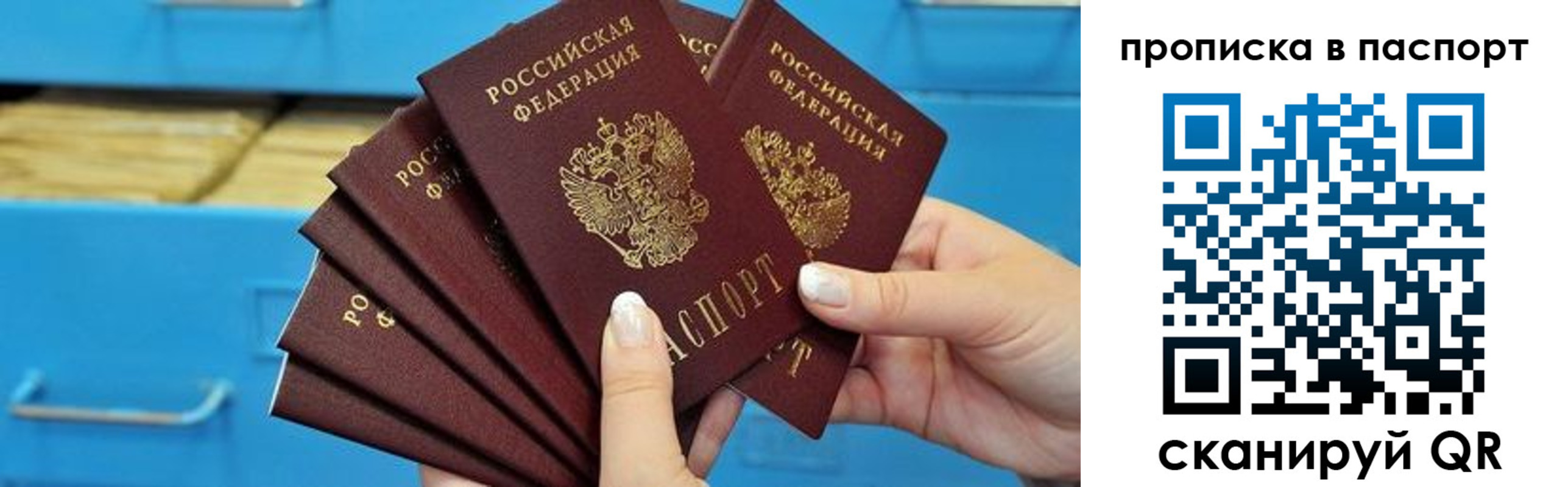 прописка в Каргополе