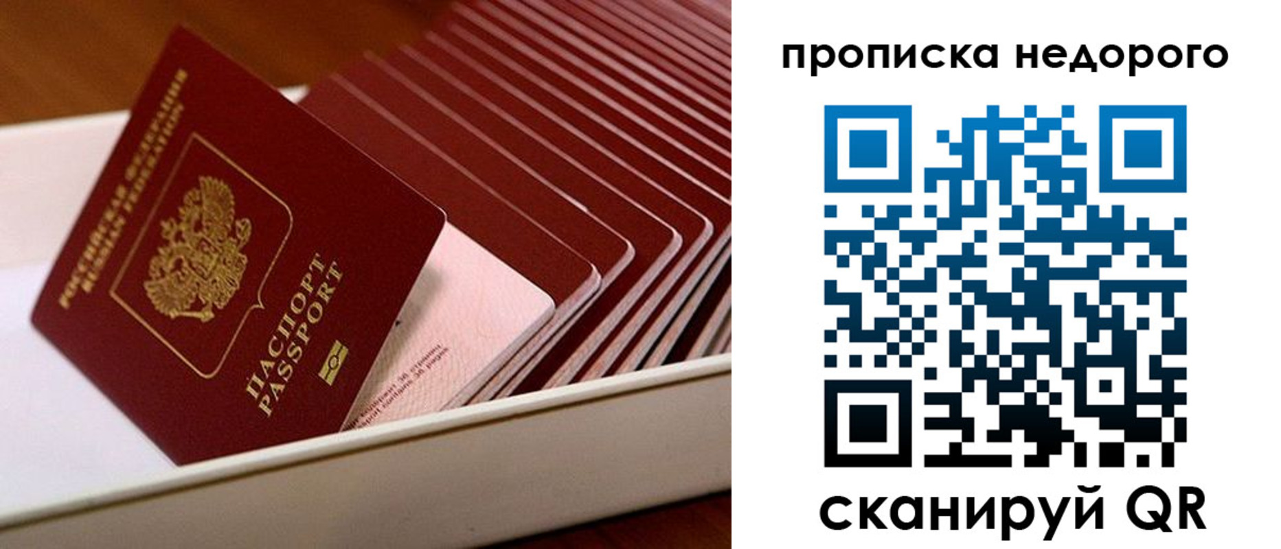 прописка паспорт в Каргополе